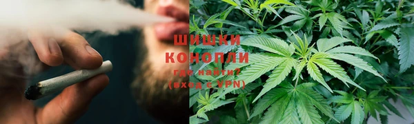 a pvp Алексин