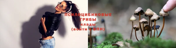 a pvp Алексин
