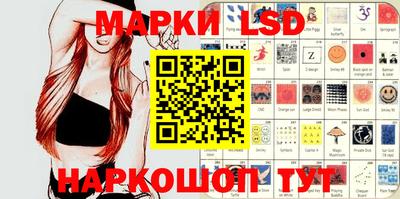 mdpv Бердск