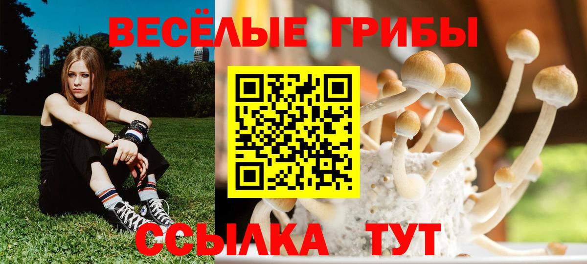 Белорецк  Галлюциногенные грибы мицелий  купить  цена  Вход с VPN 